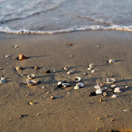 Private Garden And 3 Shared Pools In 4 公寓