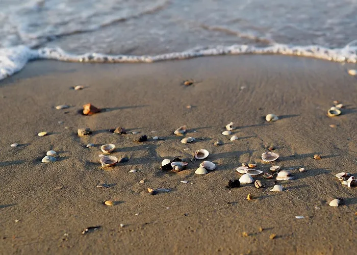 Relaxing For Families In Apartment